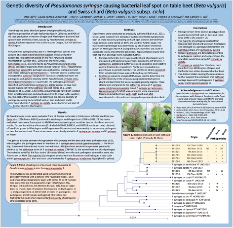 Safni Et. Al. Poster