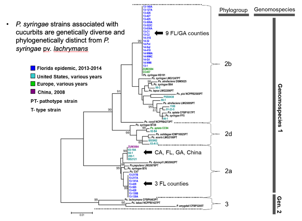 Diversity of strains shown to cause disease on a variety of cucurbits.