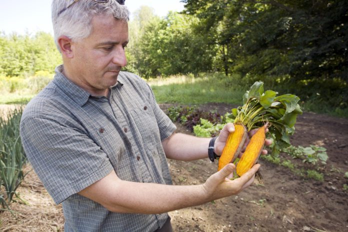 Make Sure to Get Your Hands Dirty! Q&A with Irwin Goldman